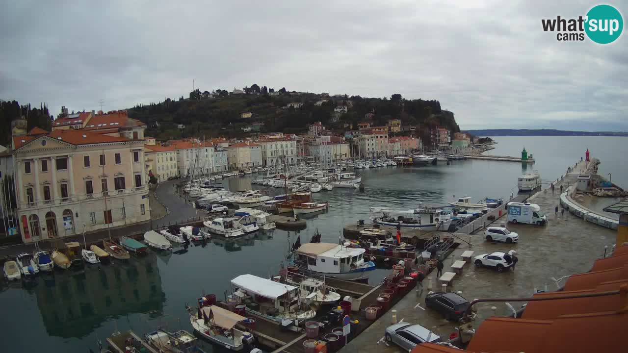 Live webcam from Piran “Mandrač” – Amazing live view from Villa Piranesi