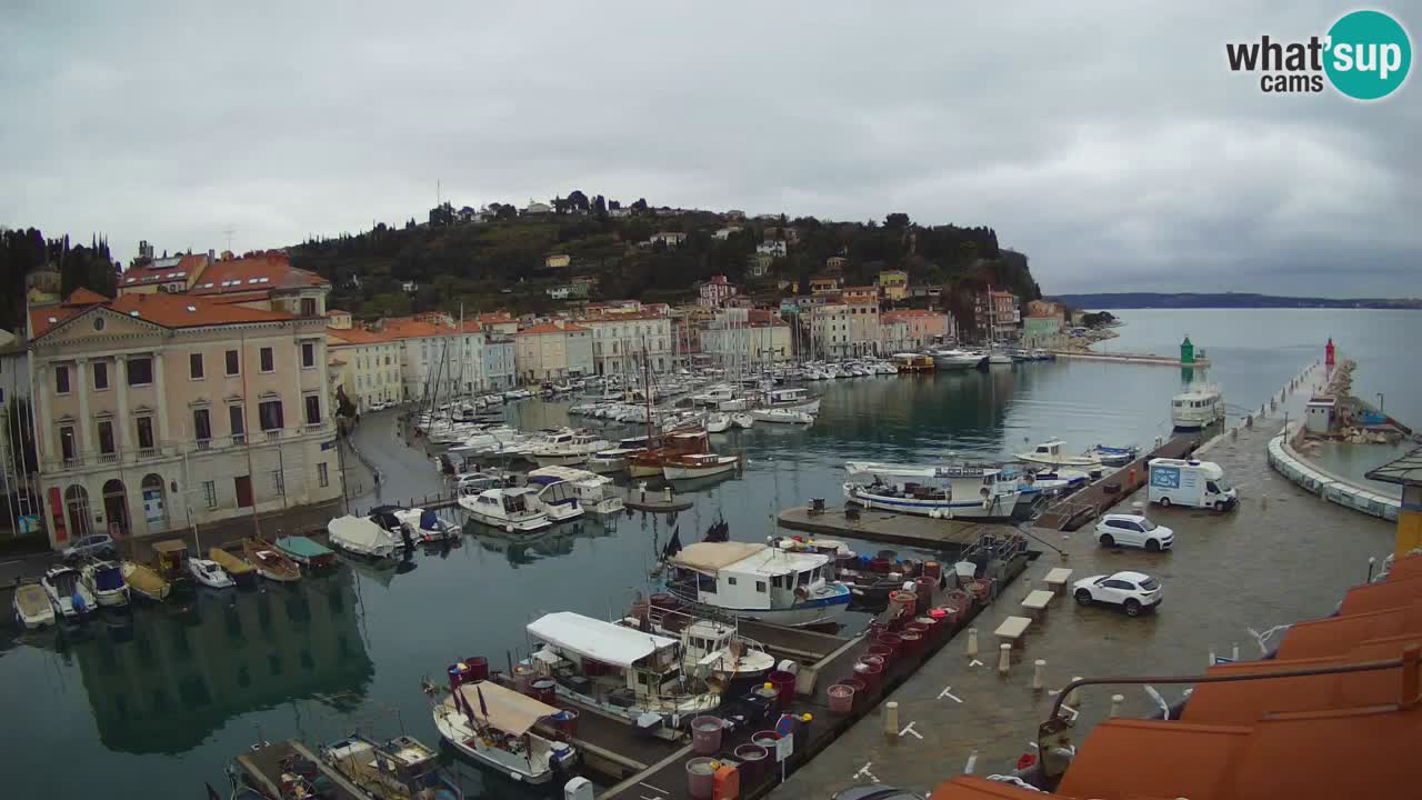 Live webcam from Piran “Mandrač” – Amazing live view from Villa Piranesi
