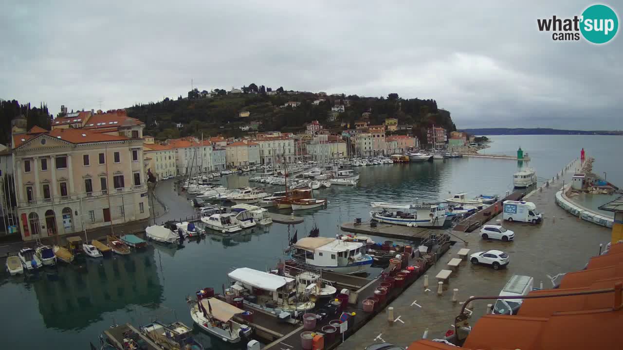 Cámara web en vivo desde Piran “Mandrač” – Increíble vista en vivo desde Villa Piranesi