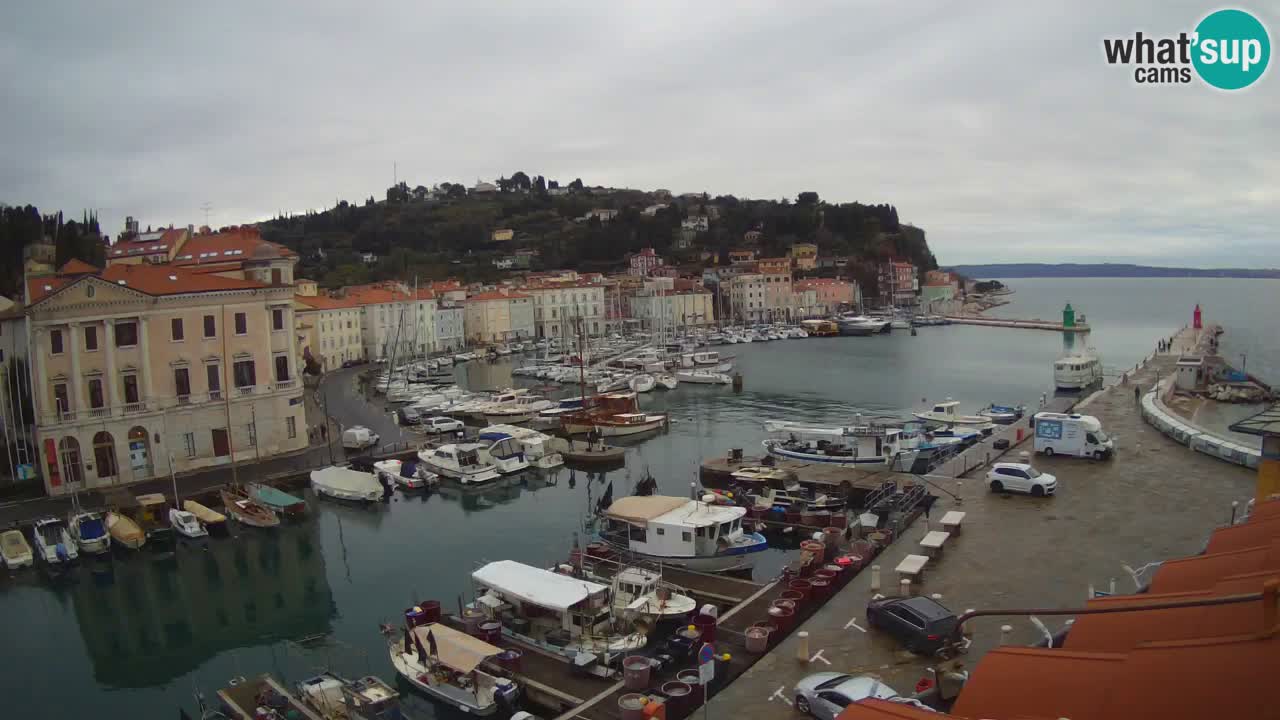 Live webcam da Pirano “Mandrač” – Splendida vista live da Villa Piranesi