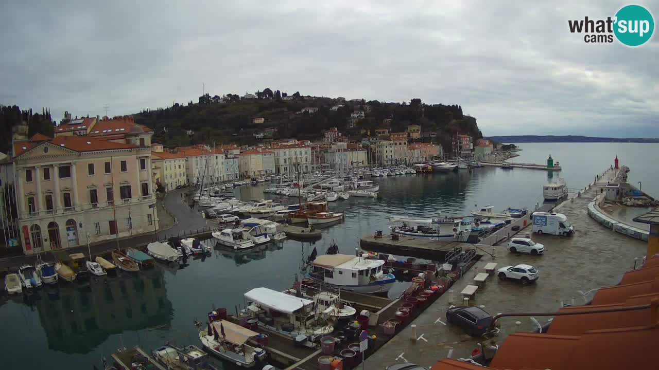 Live webcam from Piran “Mandrač” – Amazing live view from Villa Piranesi