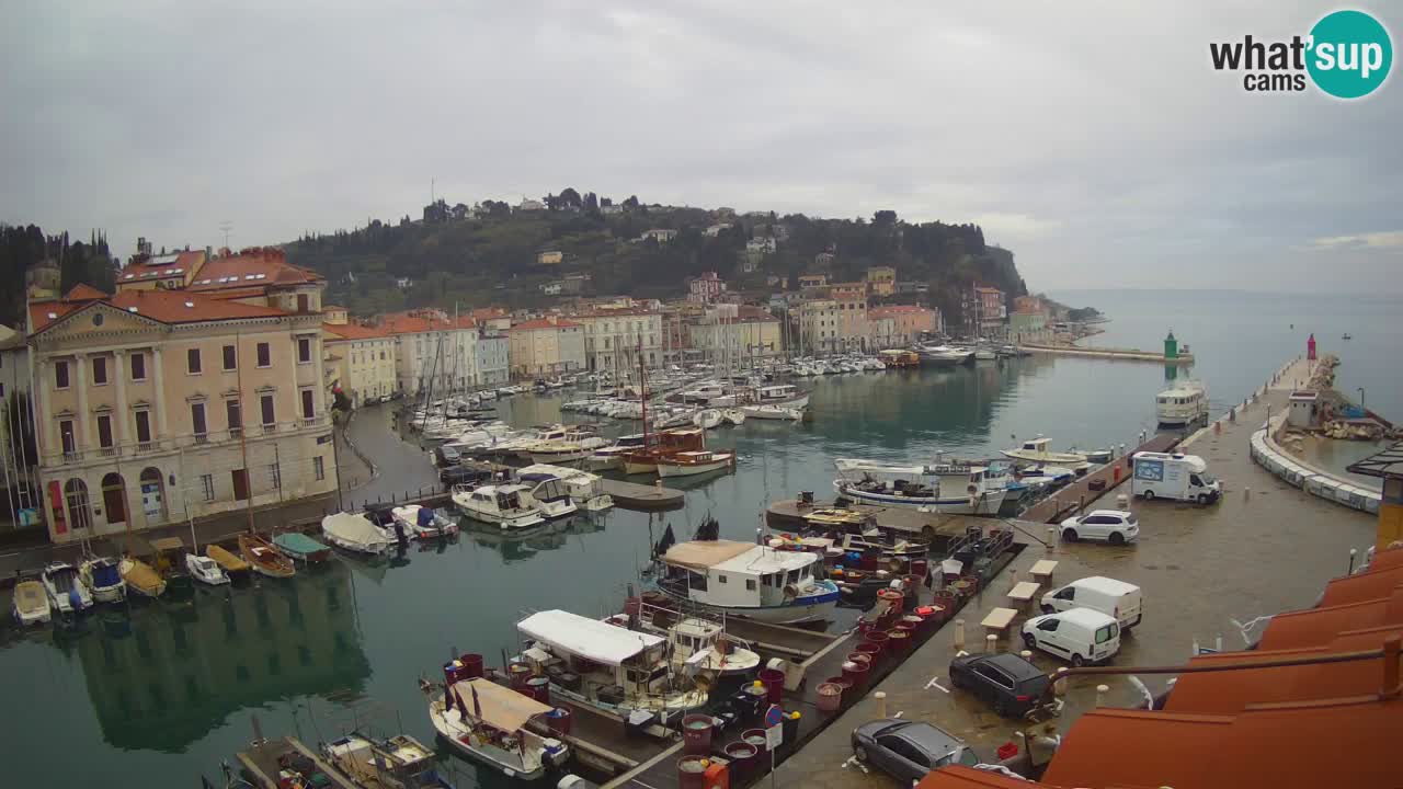 Cámara web en vivo desde Piran “Mandrač” – Increíble vista en vivo desde Villa Piranesi