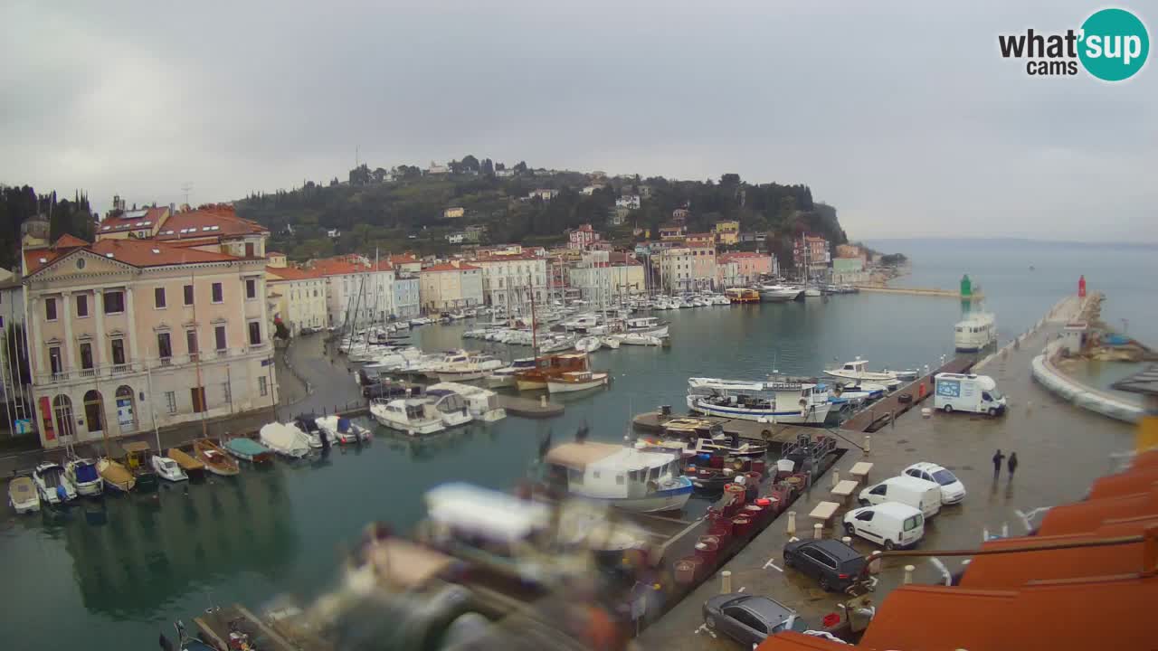 Live webcam from Piran “Mandrač” – Amazing live view from Villa Piranesi