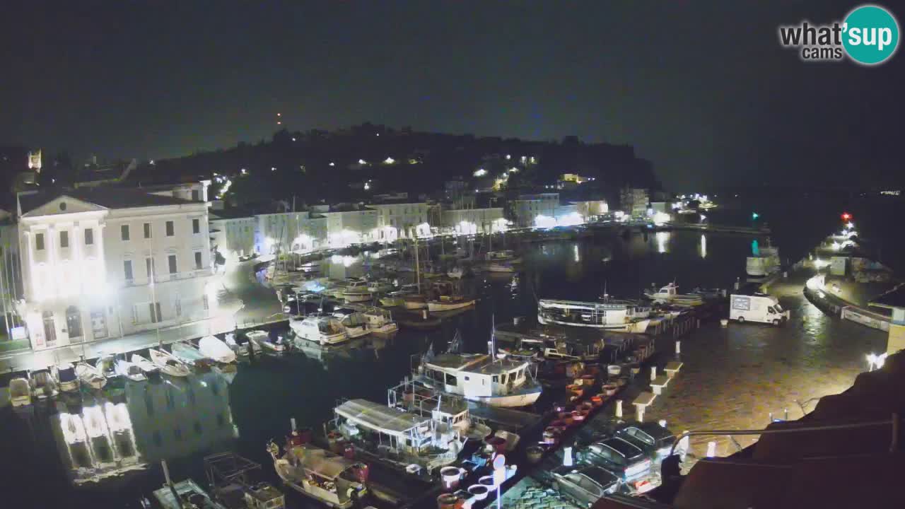 Web kamera uživo iz Pirana “Mandrač” – Nevjerojatan pogled uživo iz Ville Piranesi