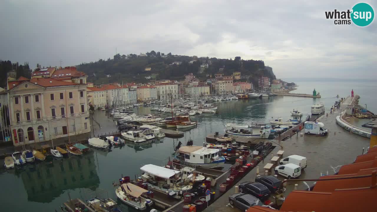 Live webcam da Pirano “Mandrač” – Splendida vista live da Villa Piranesi