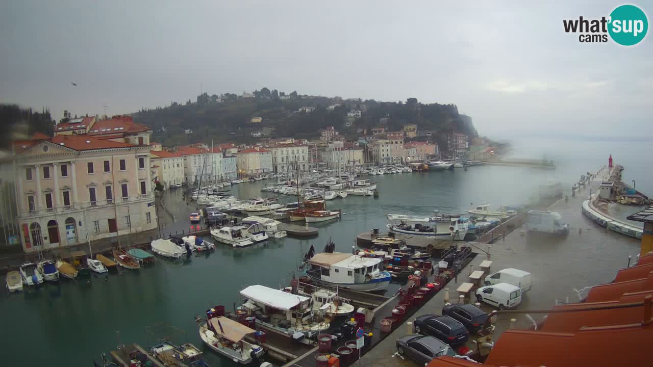 Webcam en direct de Piran “Mandrač” – Incroyable vue en direct de la Villa Piranesi