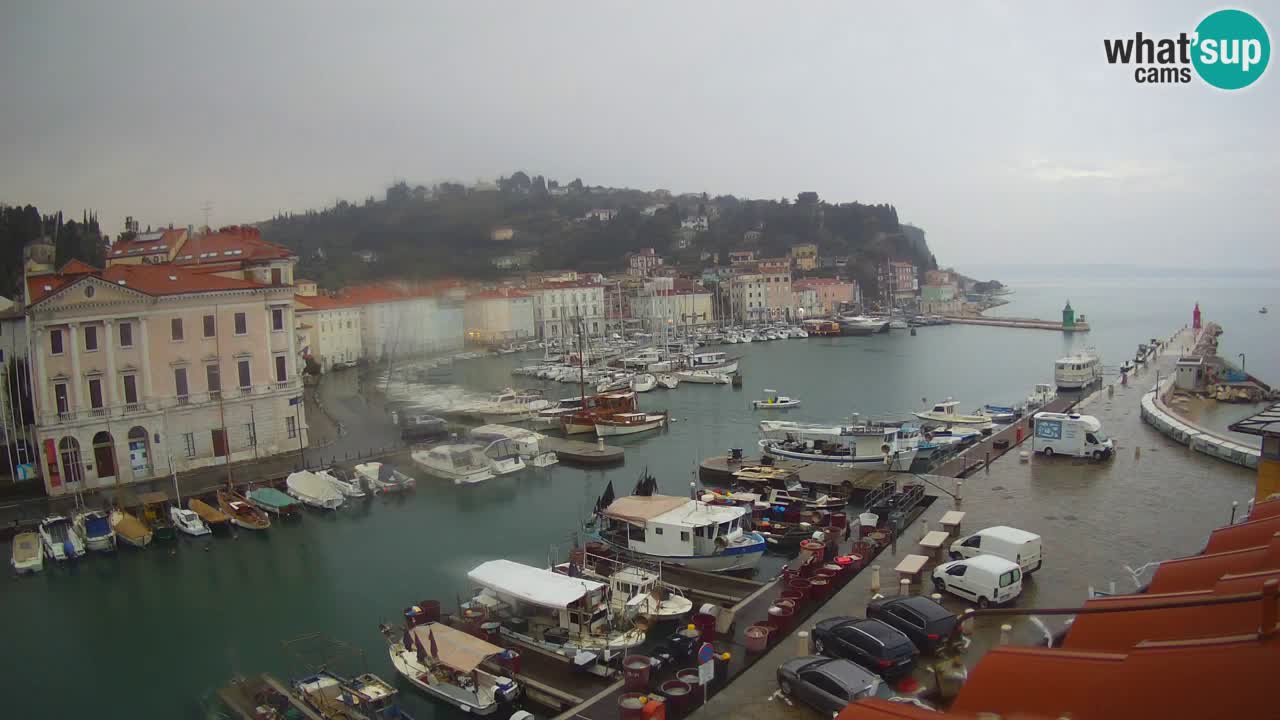 Webcam en direct de Piran “Mandrač” – Incroyable vue en direct de la Villa Piranesi