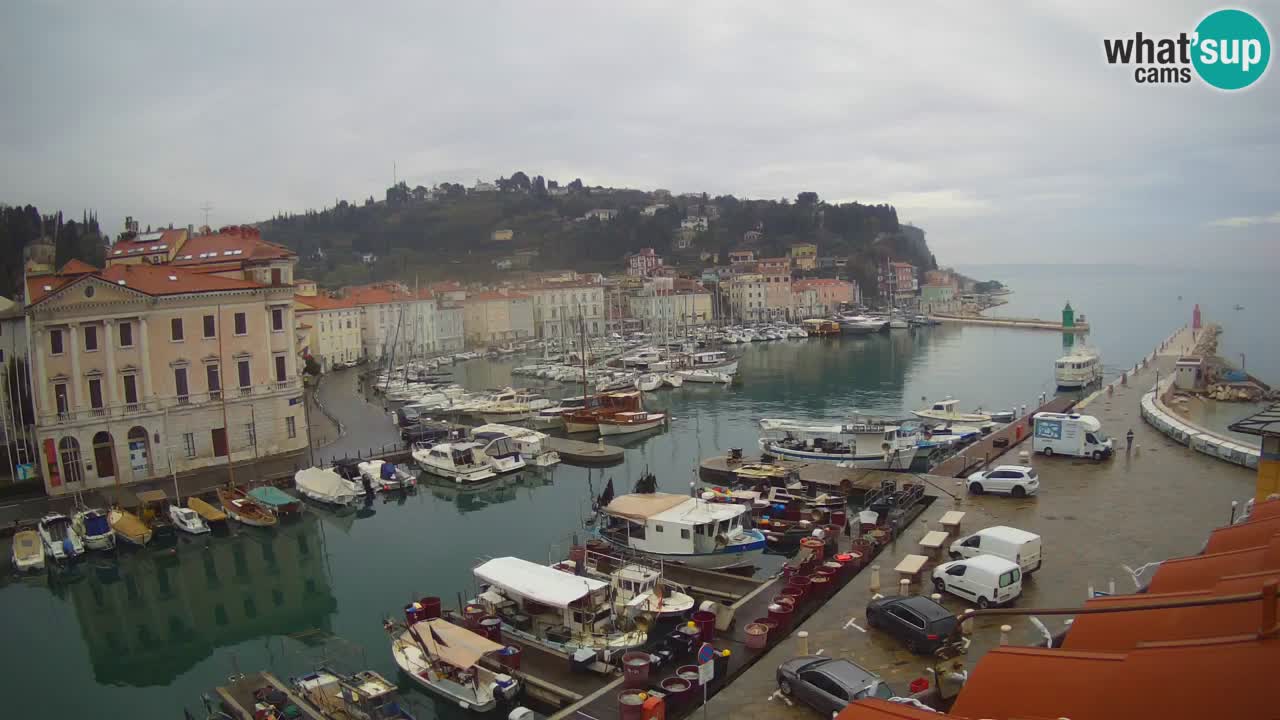 Web kamera uživo iz Pirana “Mandrač” – Nevjerojatan pogled uživo iz Ville Piranesi