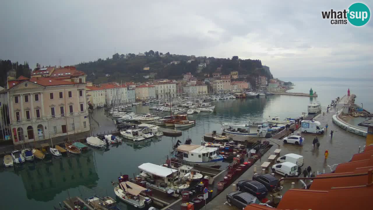 Cámara web en vivo desde Piran “Mandrač” – Increíble vista en vivo desde Villa Piranesi