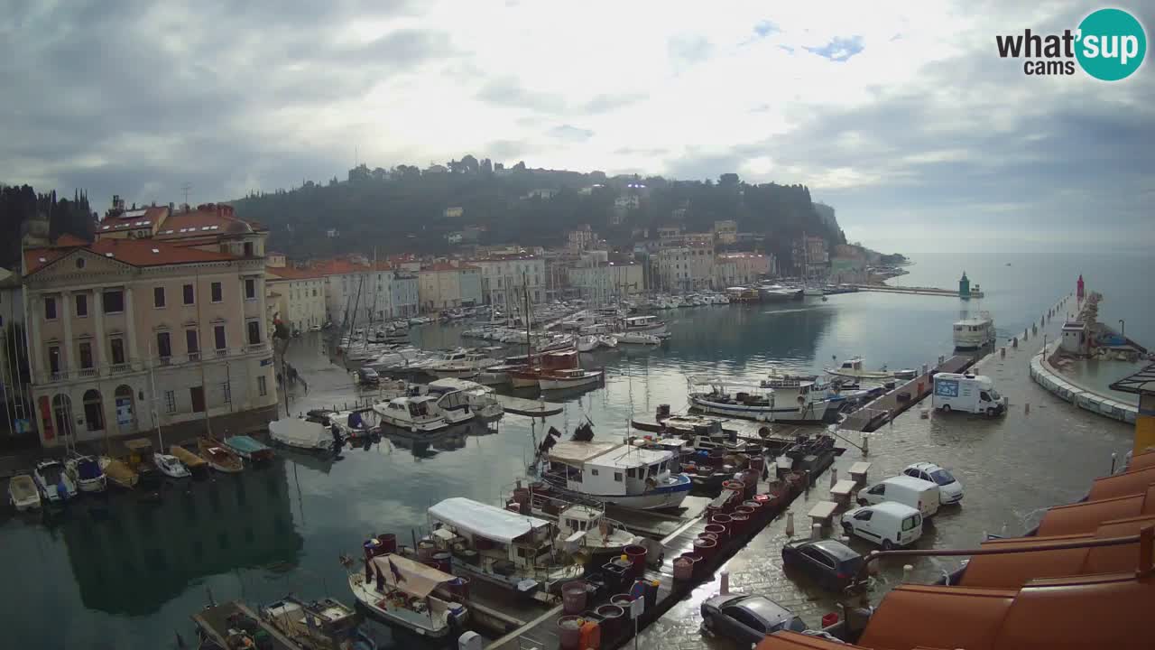 Live webcam da Pirano “Mandrač” – Splendida vista live da Villa Piranesi