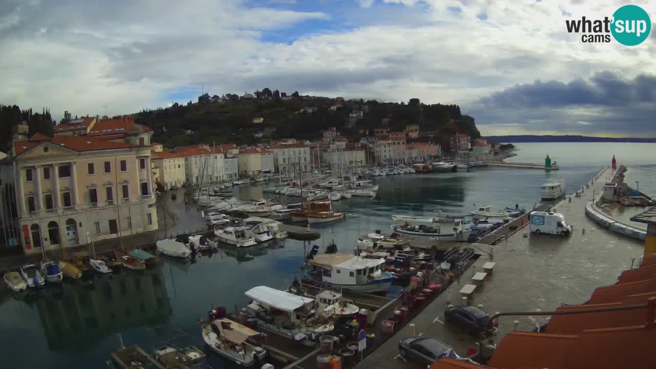Web kamera uživo iz Pirana “Mandrač” – Nevjerojatan pogled uživo iz Ville Piranesi