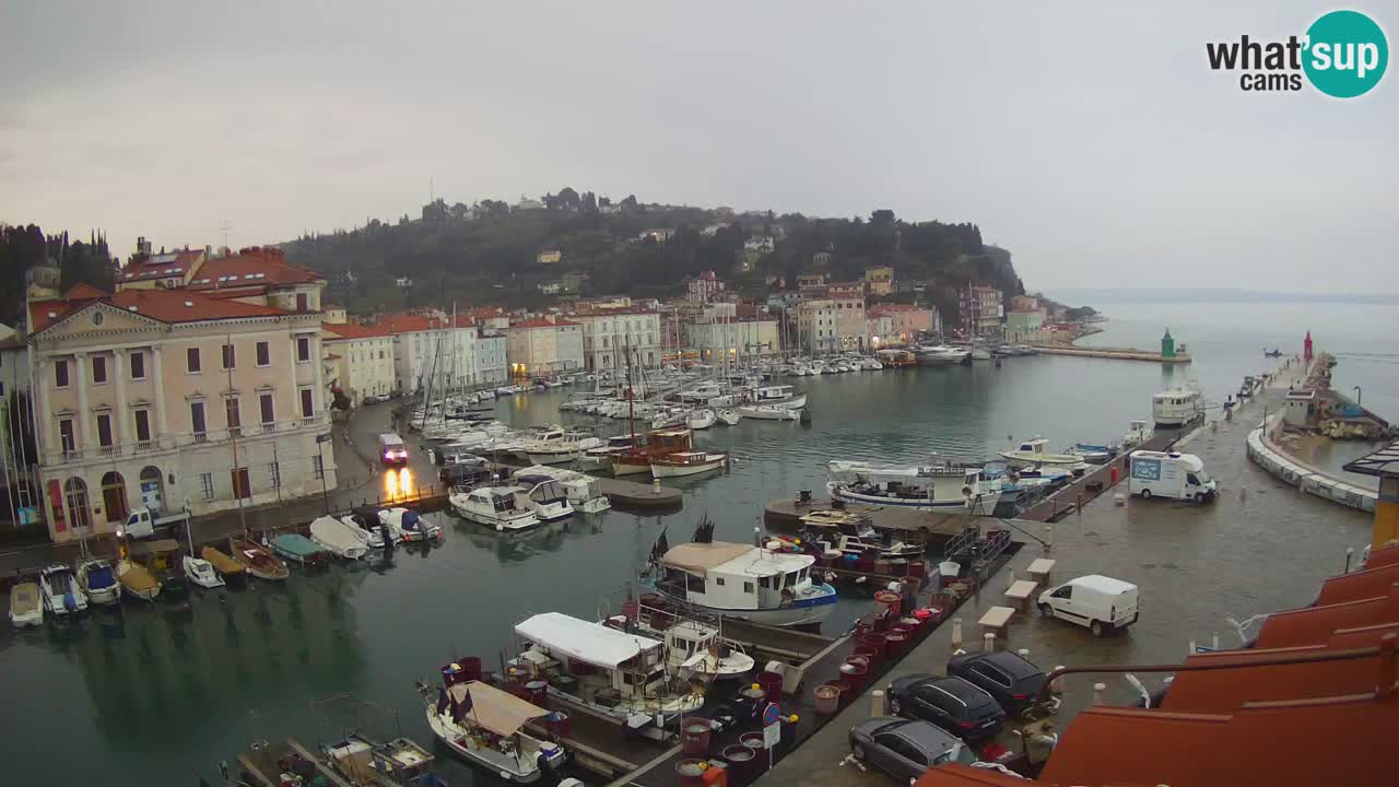 Webcam en direct de Piran “Mandrač” – Incroyable vue en direct de la Villa Piranesi