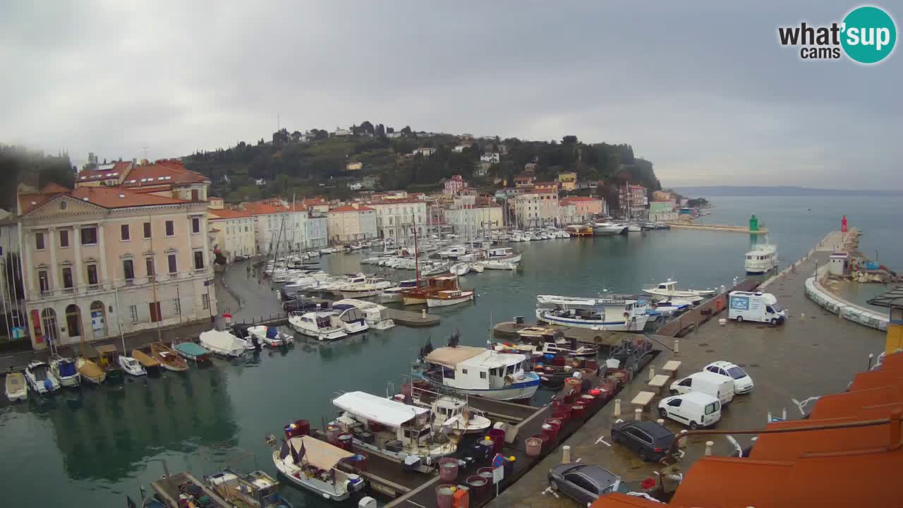 Live webcam da Pirano “Mandrač” – Splendida vista live da Villa Piranesi