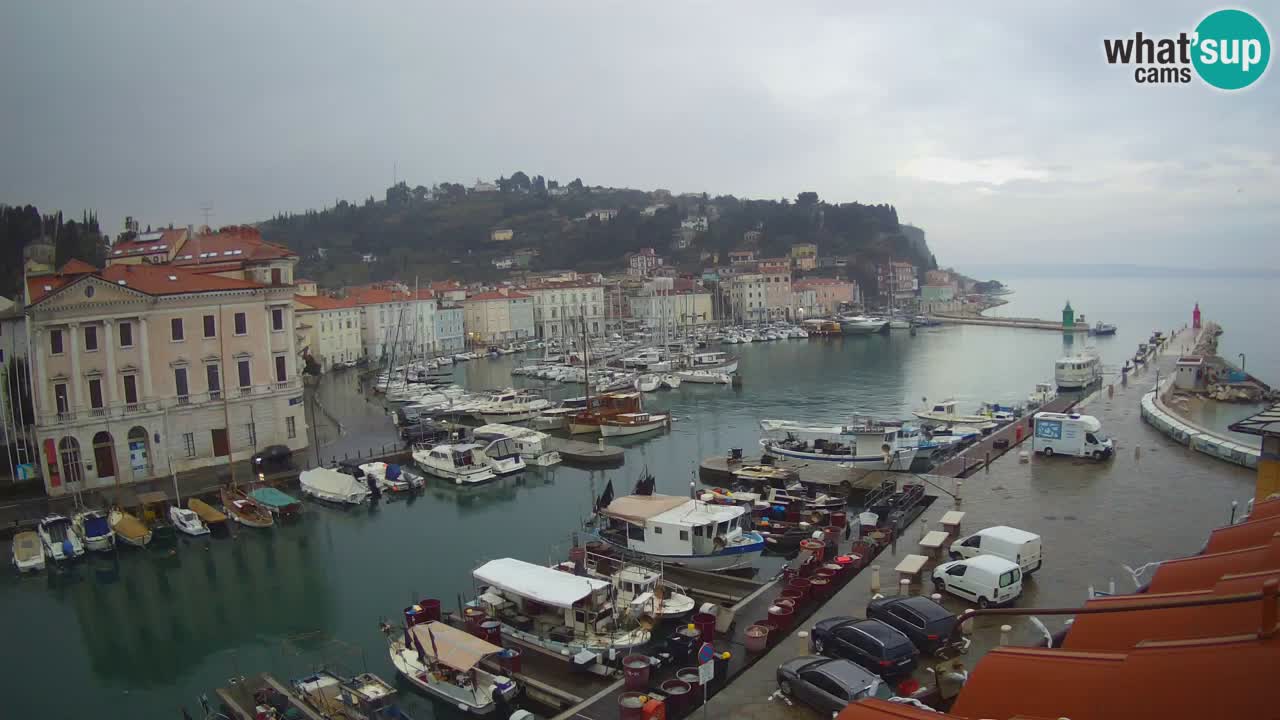 Live webcam from Piran “Mandrač” – Amazing live view from Villa Piranesi