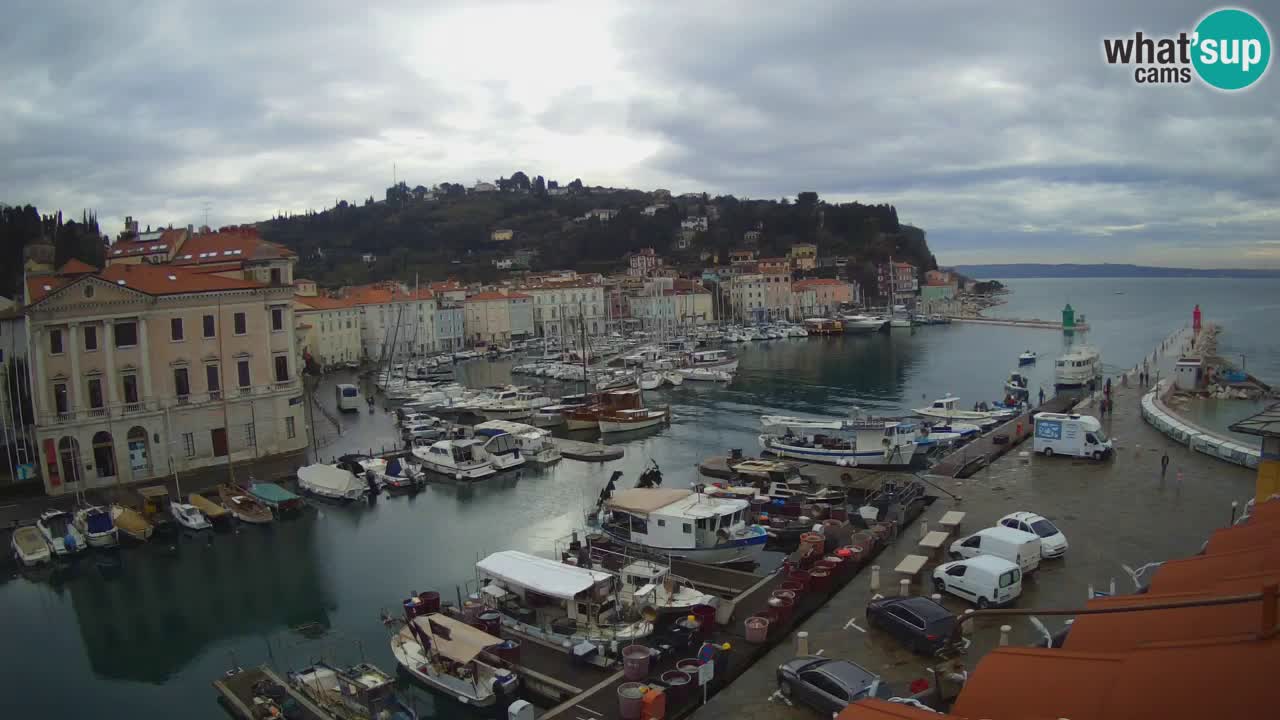 Webcam en direct de Piran “Mandrač” – Incroyable vue en direct de la Villa Piranesi
