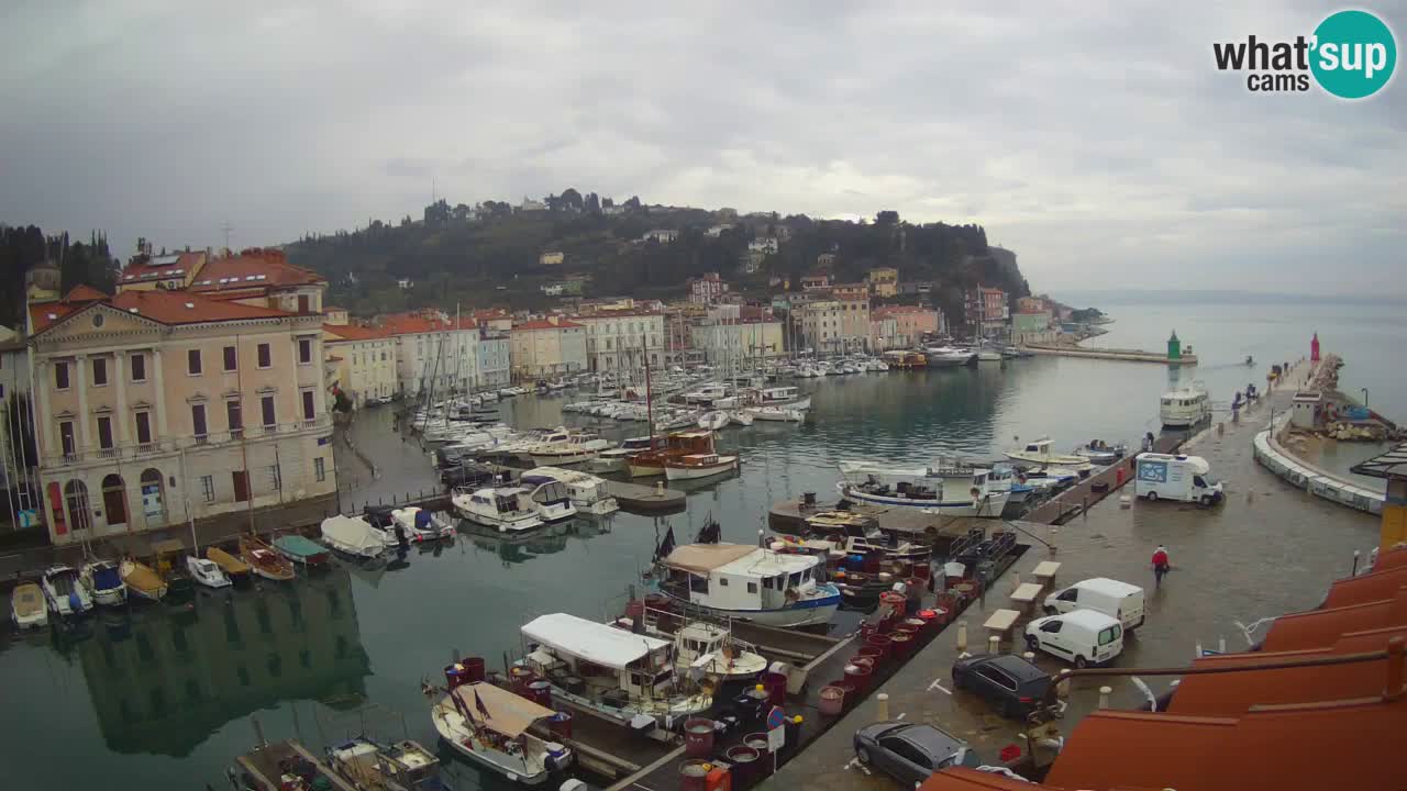 Live webcam from Piran “Mandrač” – Amazing live view from Villa Piranesi