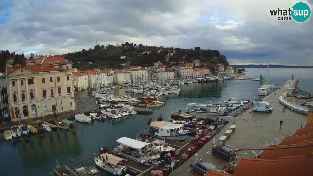 Iz Pirana Spletna kamera v živo “Mandrač” – Neverjeten pogled v živo iz Vile Piranesi