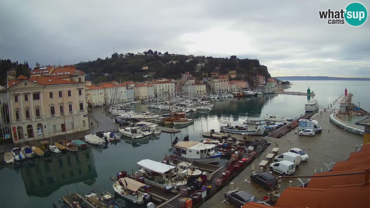 Live-Webcam aus Piran “Mandrač” – Erstaunliche Live-Ansicht von Villa Piranesi