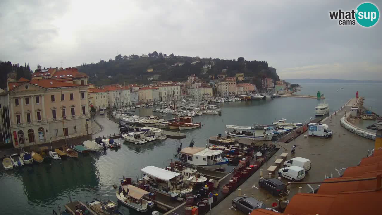 Webcam en direct de Piran “Mandrač” – Incroyable vue en direct de la Villa Piranesi