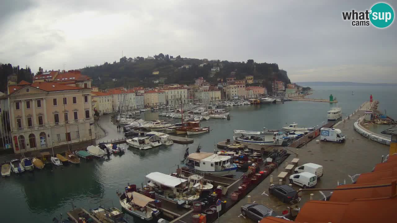 Live-Webcam aus Piran “Mandrač” – Erstaunliche Live-Ansicht von Villa Piranesi
