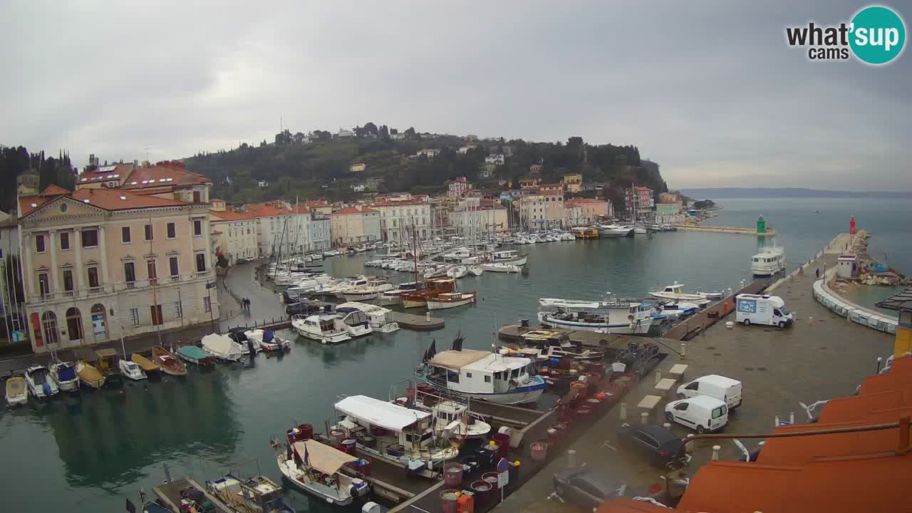 Live webcam from Piran “Mandrač” – Amazing live view from Villa Piranesi