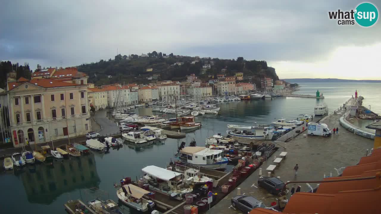 Iz Pirana Spletna kamera v živo “Mandrač” – Neverjeten pogled v živo iz Vile Piranesi