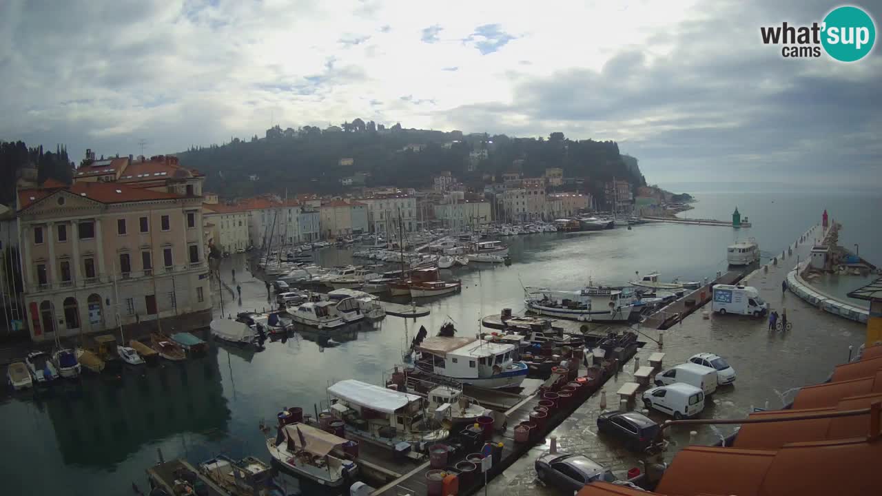 Cámara web en vivo desde Piran “Mandrač” – Increíble vista en vivo desde Villa Piranesi