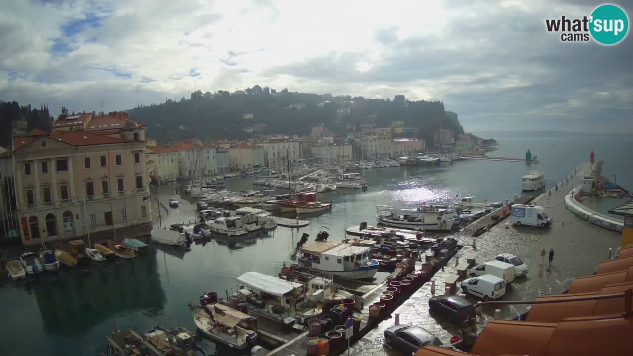 Live-Webcam aus Piran “Mandrač” – Erstaunliche Live-Ansicht von Villa Piranesi