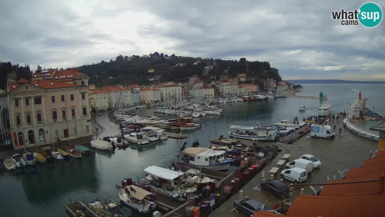 Live-Webcam aus Piran “Mandrač” – Erstaunliche Live-Ansicht von Villa Piranesi