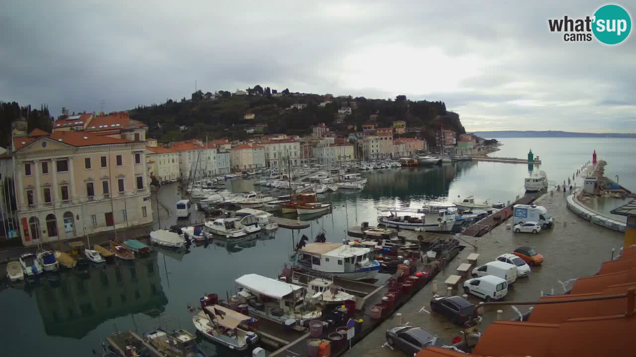 Live webcam from Piran “Mandrač” – Amazing live view from Villa Piranesi