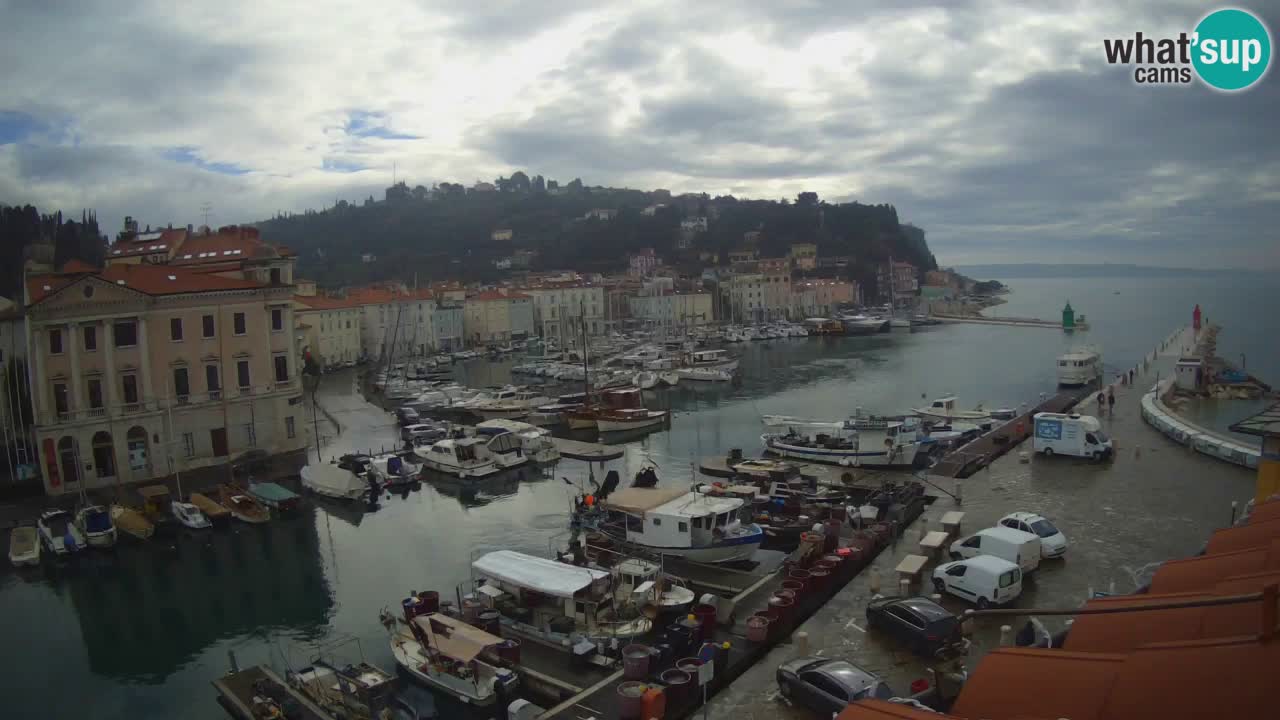 Web kamera uživo iz Pirana “Mandrač” – Nevjerojatan pogled uživo iz Ville Piranesi