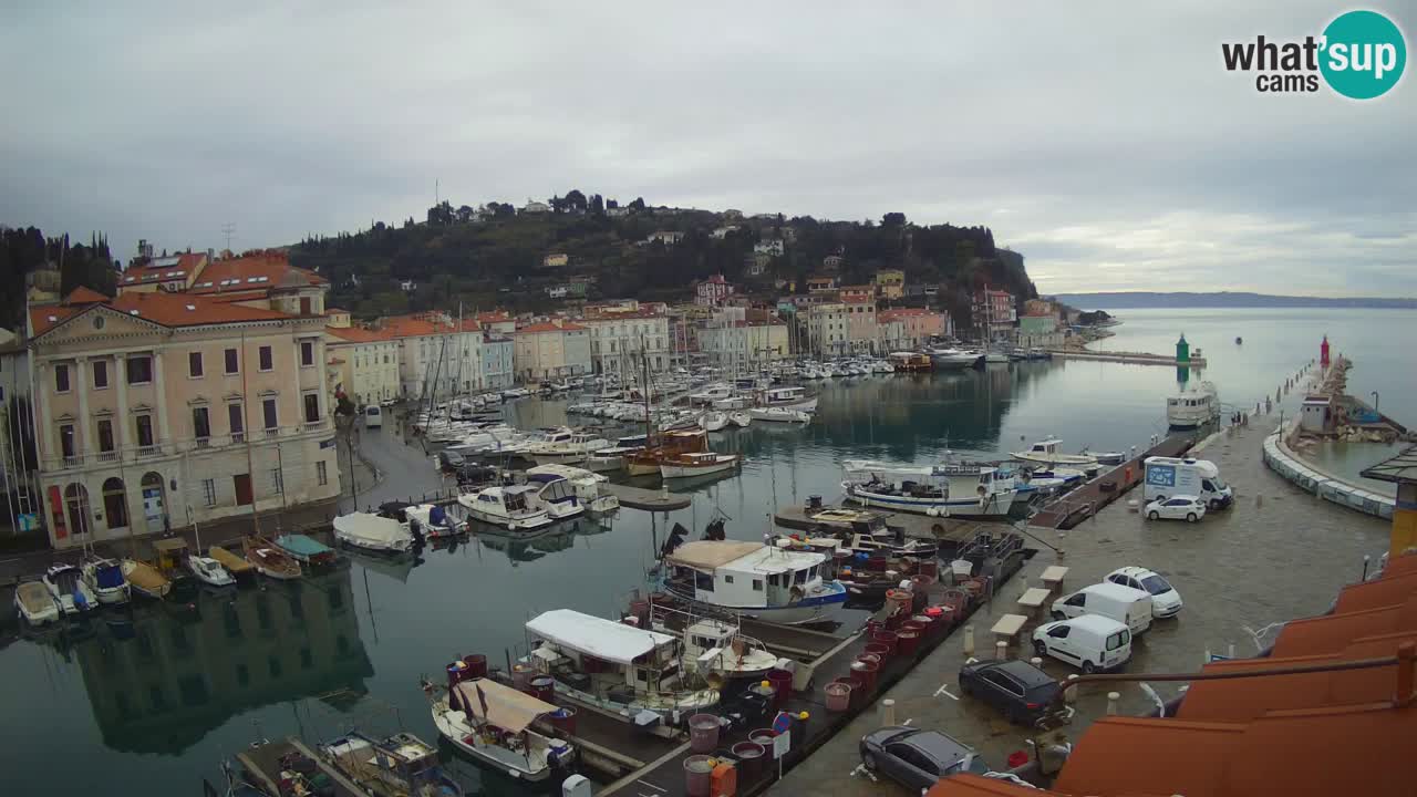 Webcam en direct de Piran “Mandrač” – Incroyable vue en direct de la Villa Piranesi