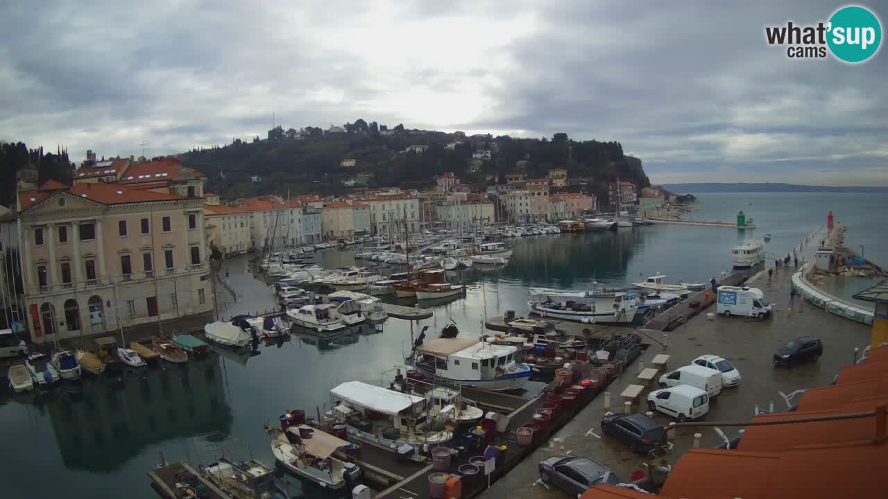 Webcam en direct de Piran “Mandrač” – Incroyable vue en direct de la Villa Piranesi