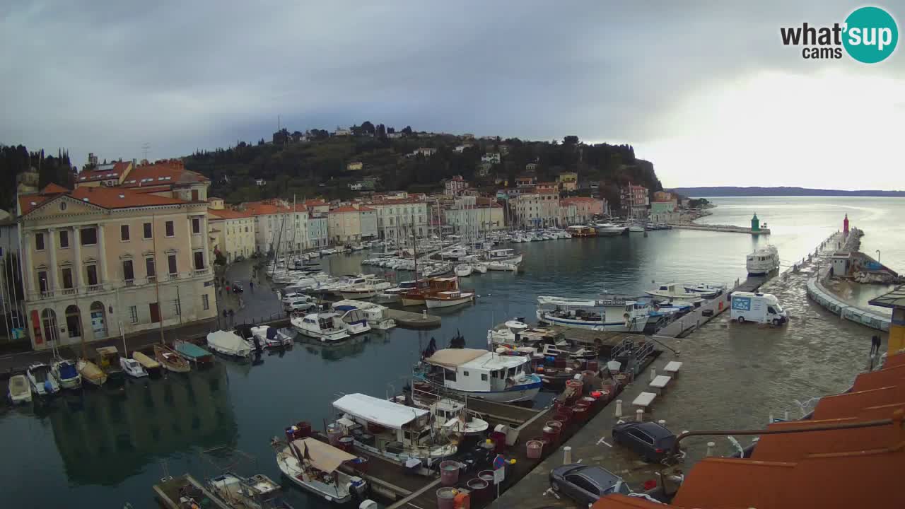 Live webcam da Pirano “Mandrač” – Splendida vista live da Villa Piranesi
