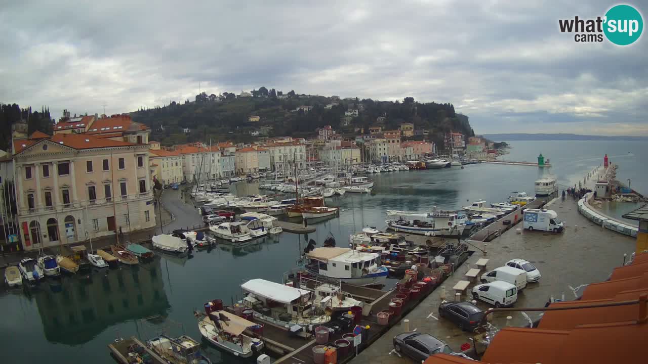Webcam en direct de Piran “Mandrač” – Incroyable vue en direct de la Villa Piranesi