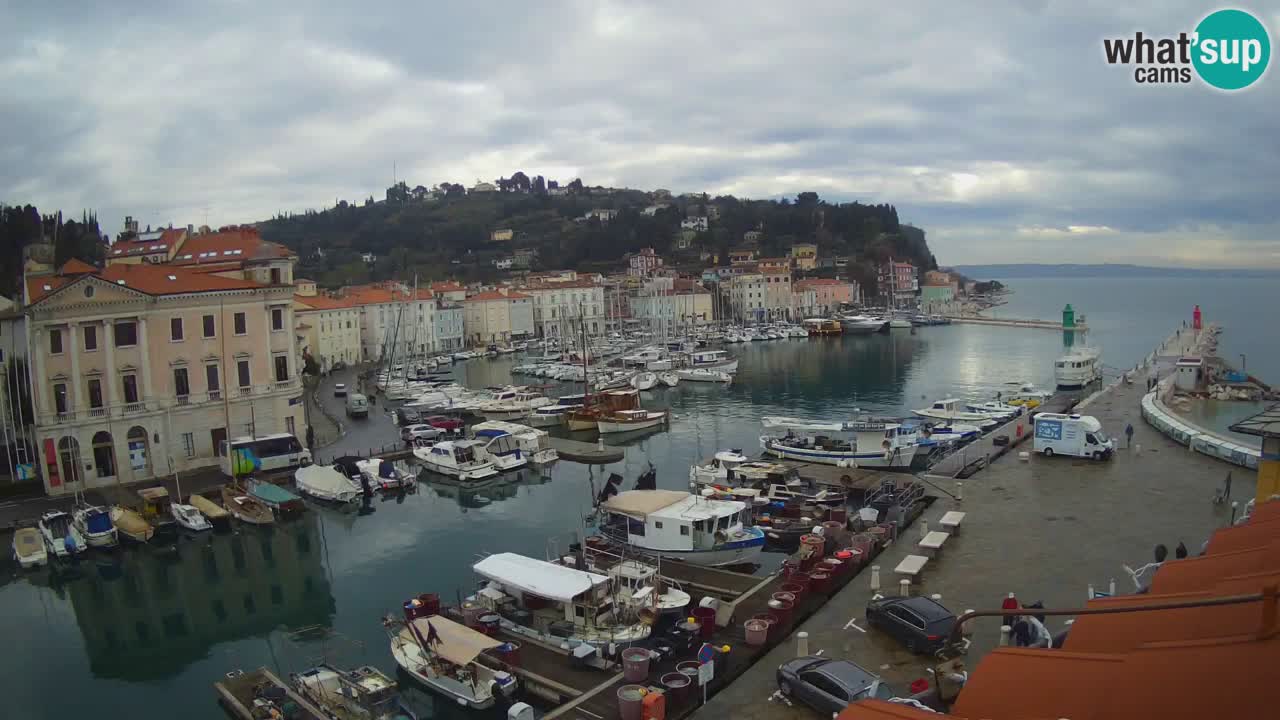 Webcam en direct de Piran “Mandrač” – Incroyable vue en direct de la Villa Piranesi