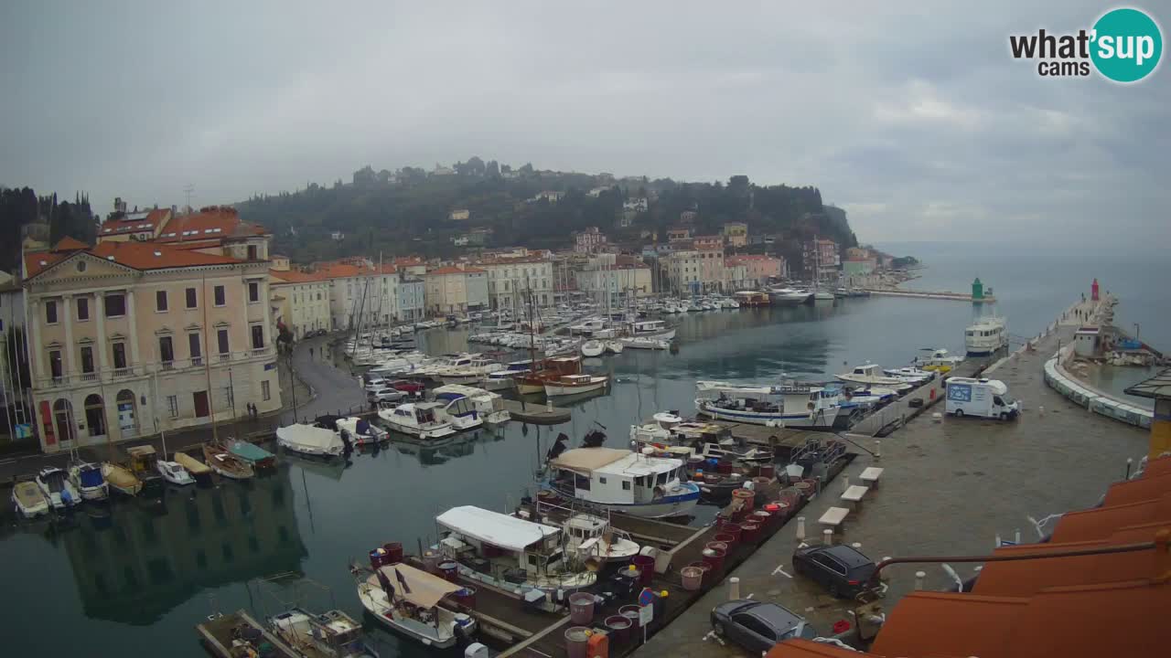 Cámara web en vivo desde Piran “Mandrač” – Increíble vista en vivo desde Villa Piranesi