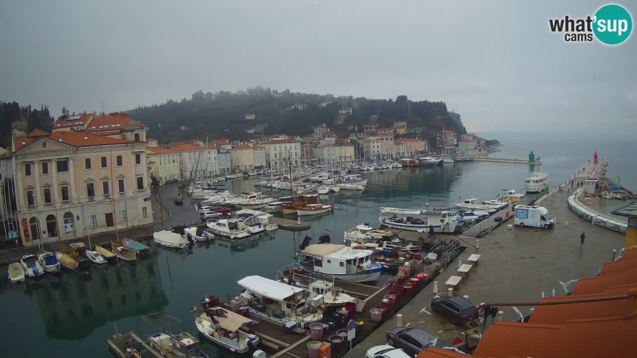 Live-Webcam aus Piran “Mandrač” – Erstaunliche Live-Ansicht von Villa Piranesi