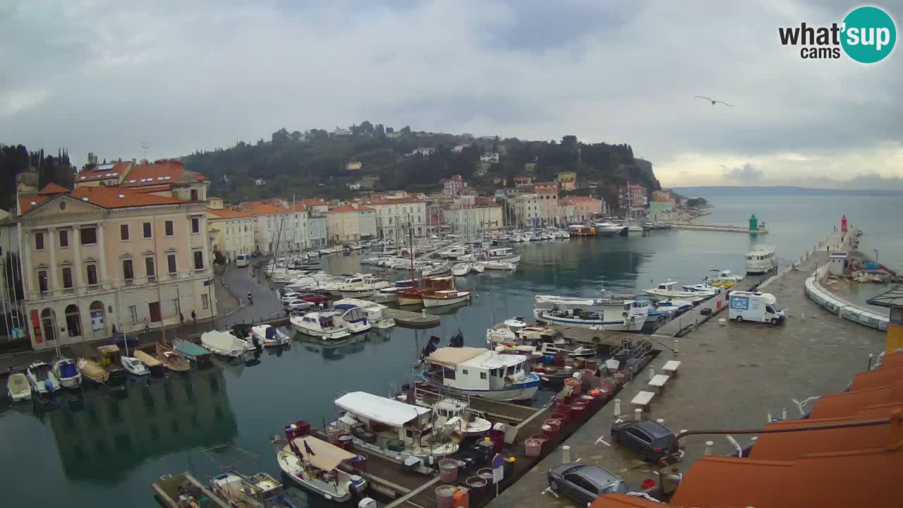 Live-Webcam aus Piran “Mandrač” – Erstaunliche Live-Ansicht von Villa Piranesi