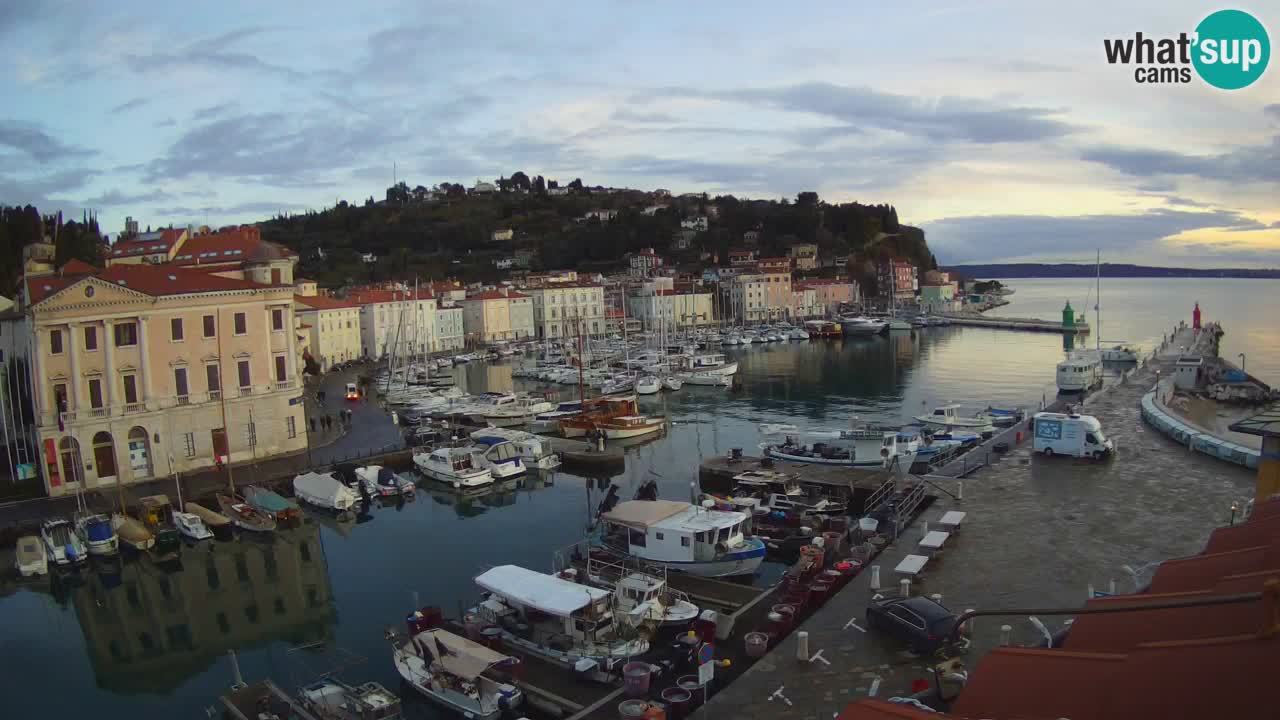 Iz Pirana Spletna kamera v živo “Mandrač” – Neverjeten pogled v živo iz Vile Piranesi