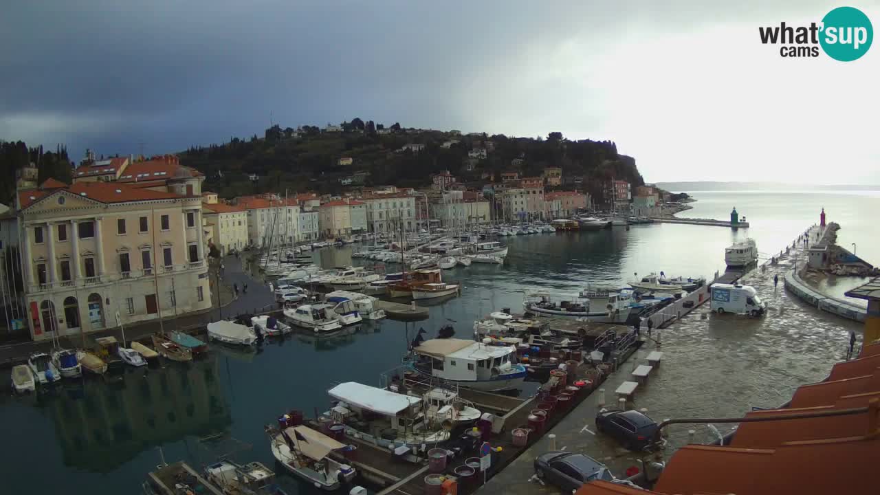 Iz Pirana Spletna kamera v živo “Mandrač” – Neverjeten pogled v živo iz Vile Piranesi