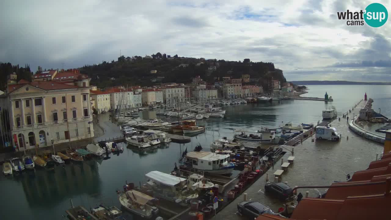 Live webcam from Piran “Mandrač” – Amazing live view from Villa Piranesi