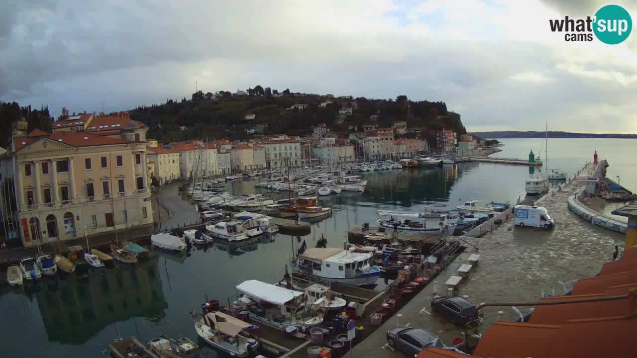 Live-Webcam aus Piran “Mandrač” – Erstaunliche Live-Ansicht von Villa Piranesi