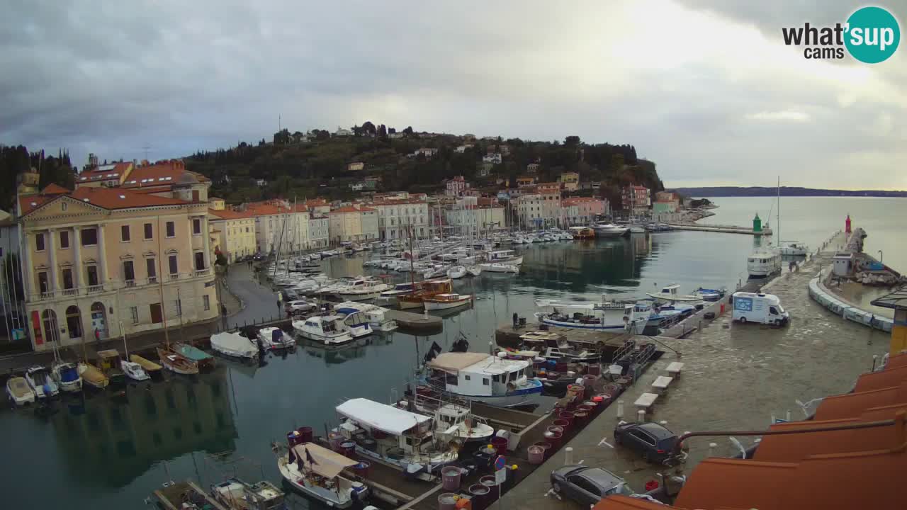 Live webcam from Piran “Mandrač” – Amazing live view from Villa Piranesi