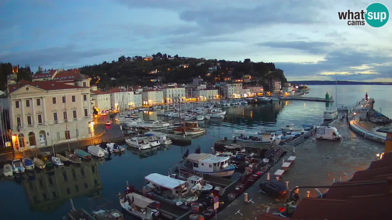 Iz Pirana Spletna kamera v živo “Mandrač” – Neverjeten pogled v živo iz Vile Piranesi