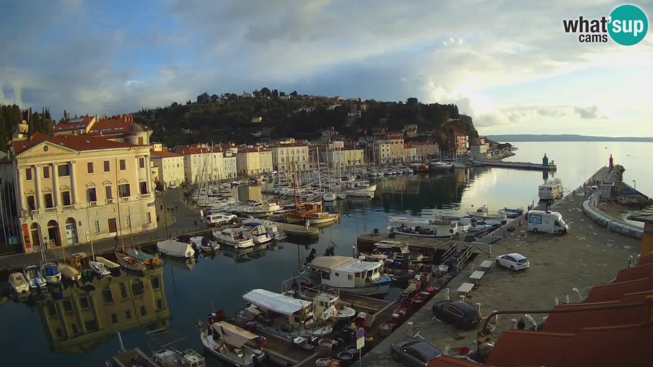 Iz Pirana Spletna kamera v živo “Mandrač” – Neverjeten pogled v živo iz Vile Piranesi