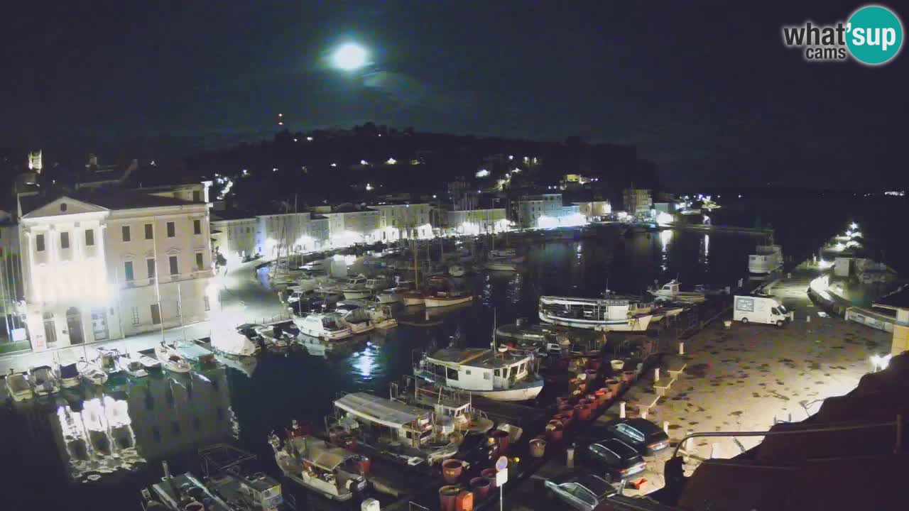 Iz Pirana Spletna kamera v živo “Mandrač” – Neverjeten pogled v živo iz Vile Piranesi