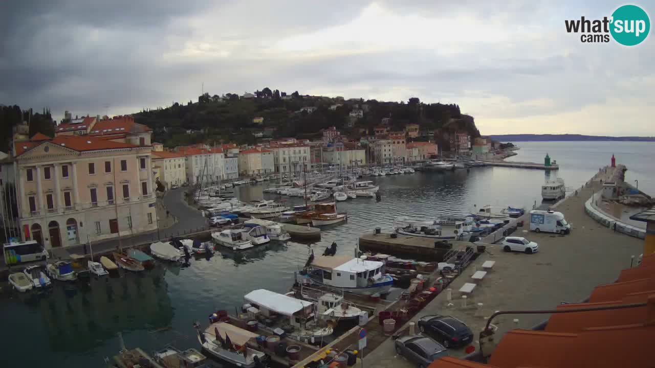 Webcam en direct de Piran “Mandrač” – Incroyable vue en direct de la Villa Piranesi