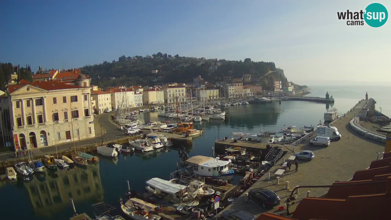 Iz Pirana Spletna kamera v živo “Mandrač” – Neverjeten pogled v živo iz Vile Piranesi