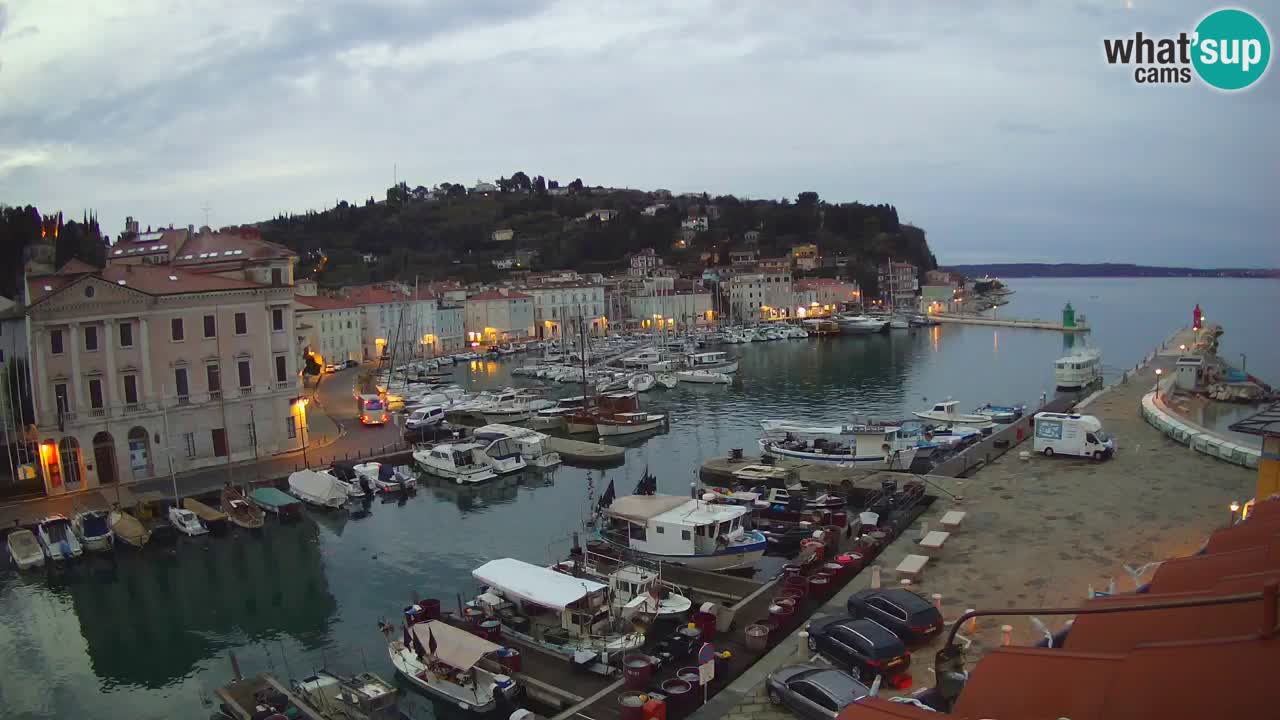 Web kamera uživo iz Pirana “Mandrač” – Nevjerojatan pogled uživo iz Ville Piranesi